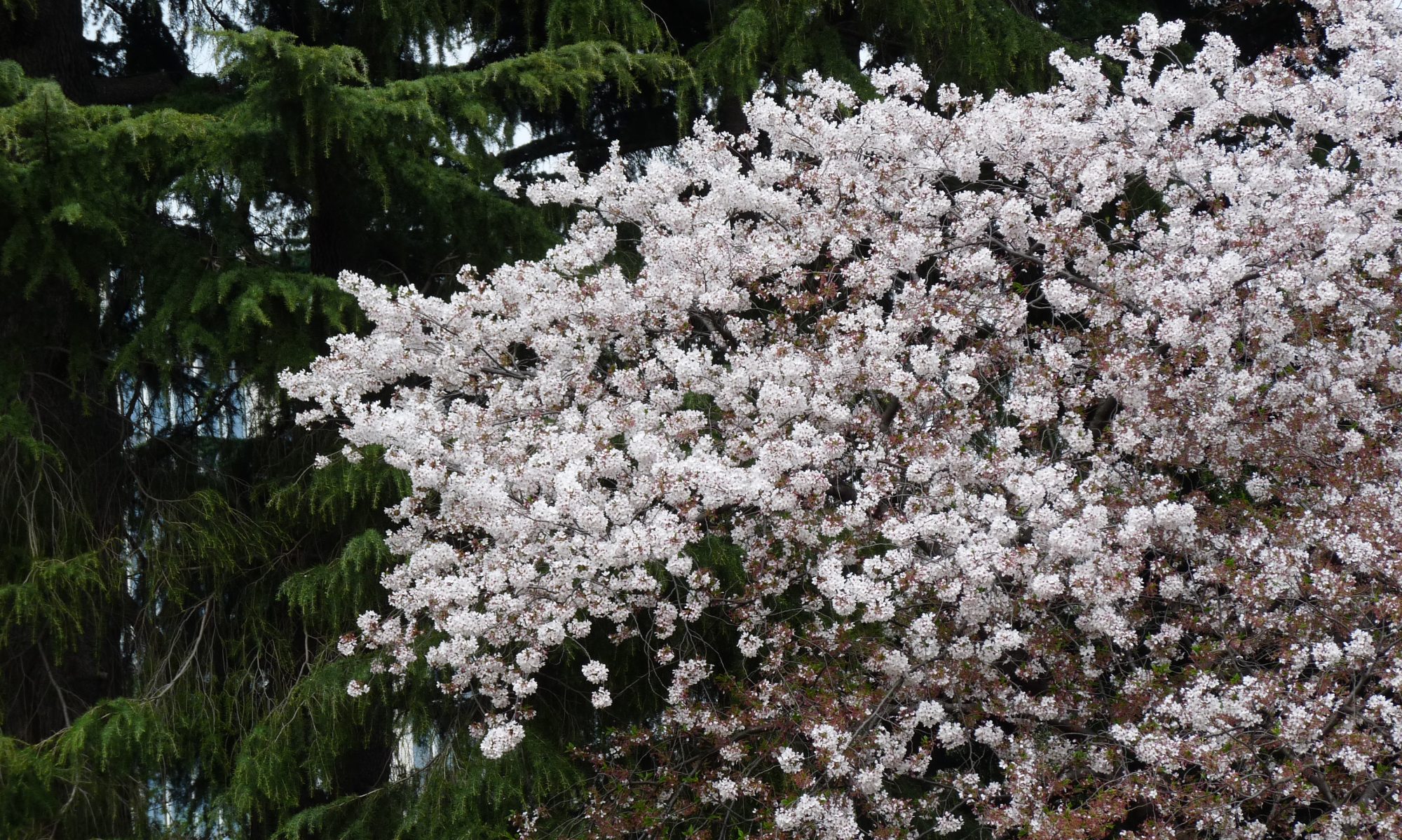 Alam Communicaion Arabia